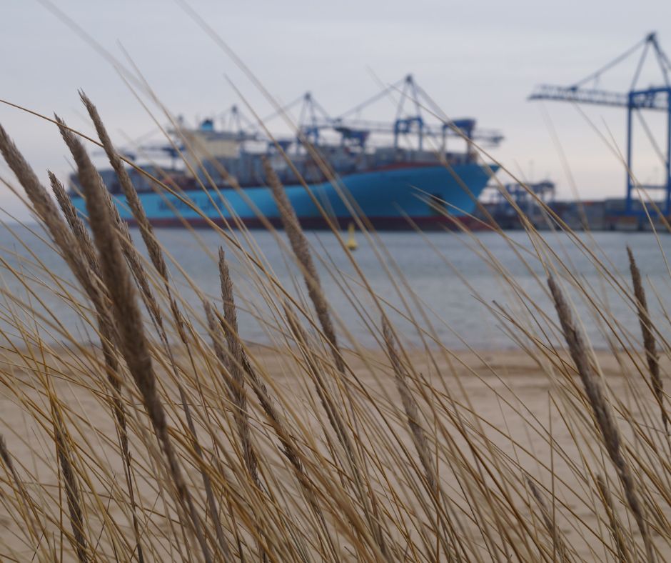Maersk IBM joint venture news